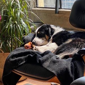 Meet your Posher, Sara